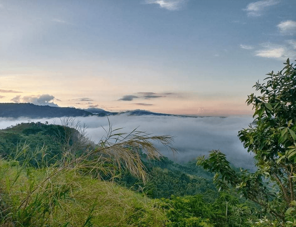 tanay 1