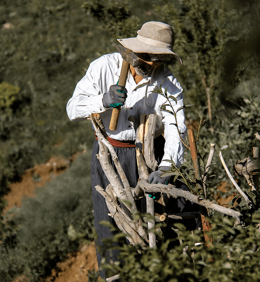 man working on crops