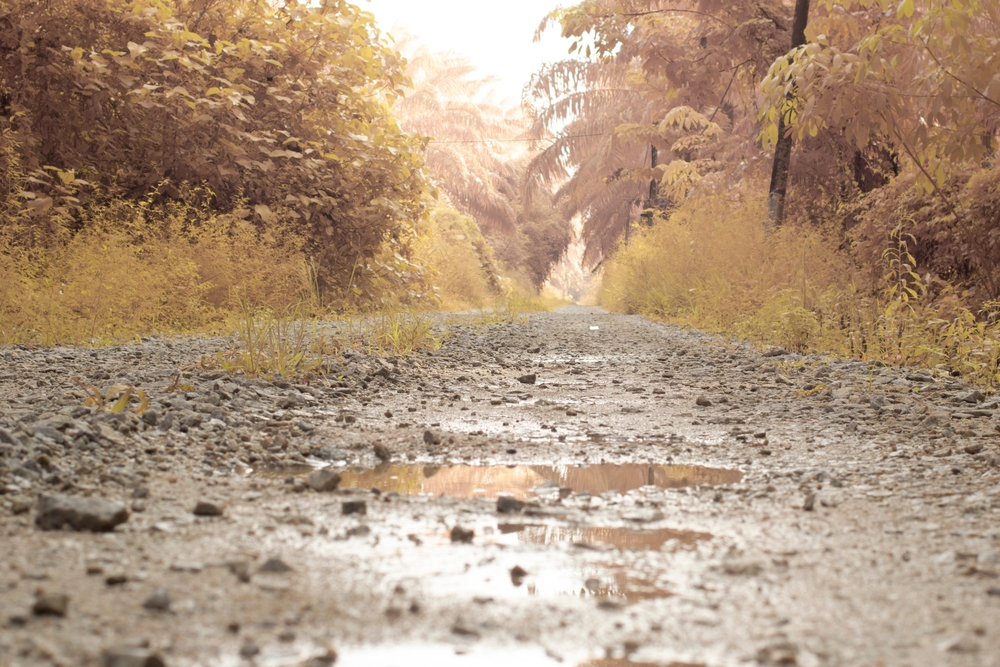muddy trail