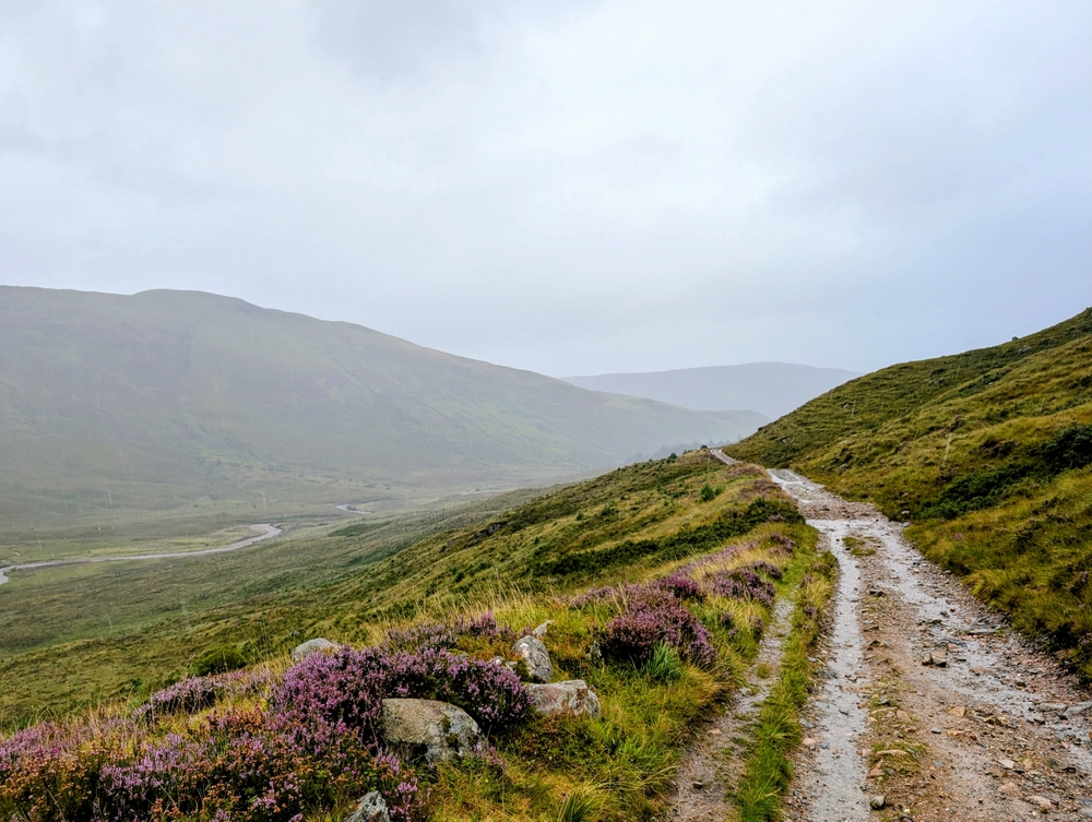 rain on trail