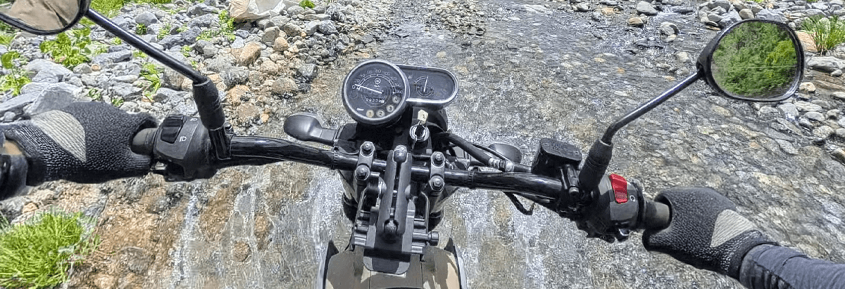 rider view