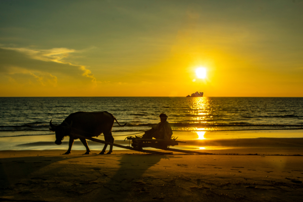 sunset